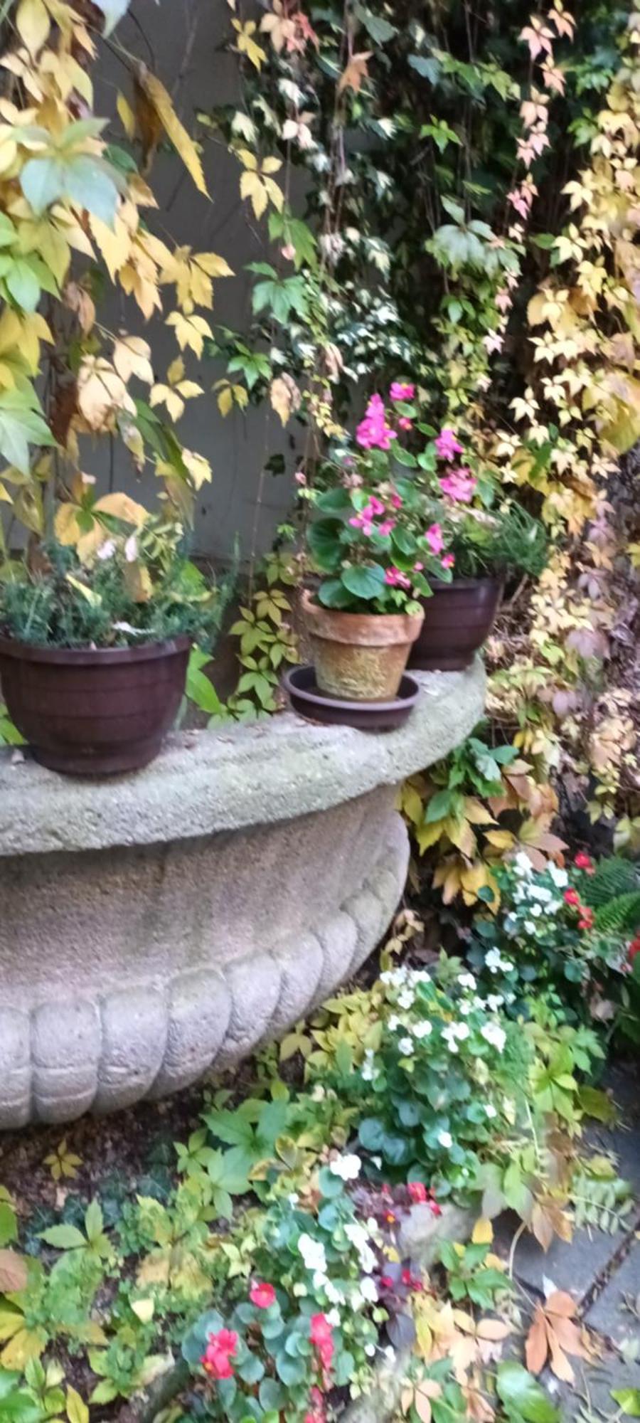 Miraculous Apartmán Praha
