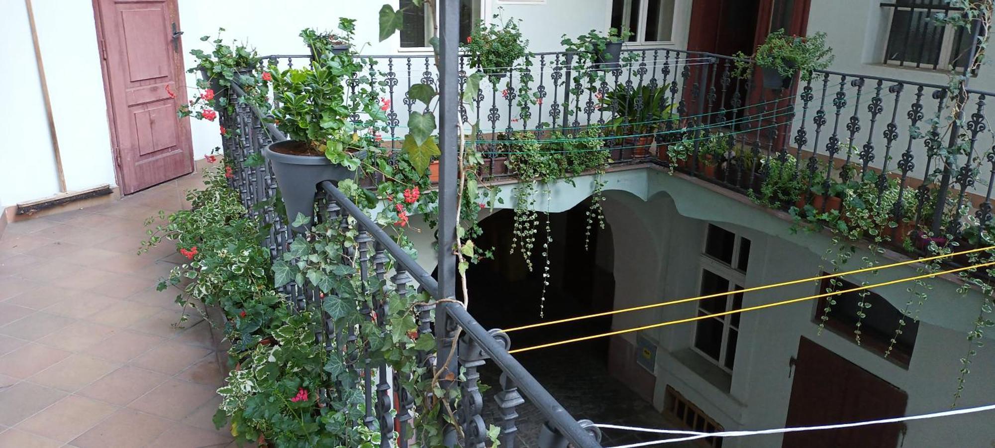 Apartmán Miraculous Praha