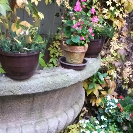 Miraculous Appartement Praha Exteriér fotografie